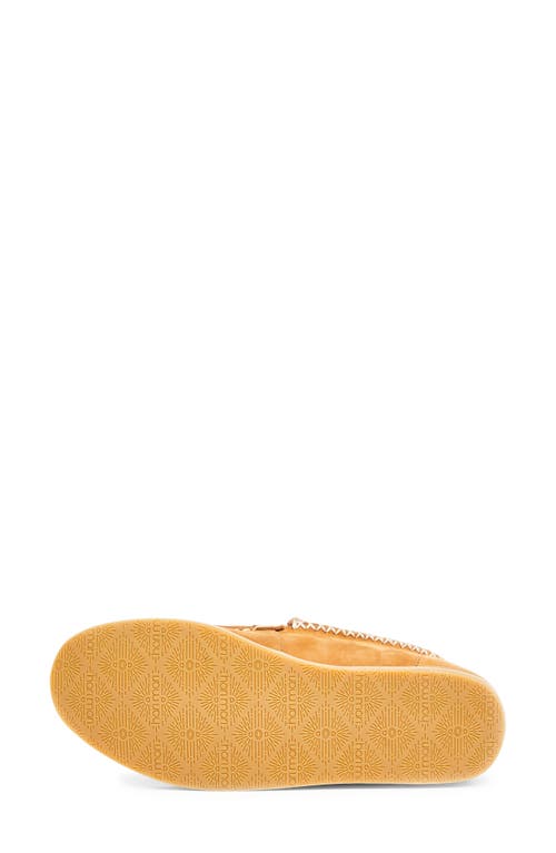 Hari Mari Alta Genuine Shearling Lined Slipppers In Brown