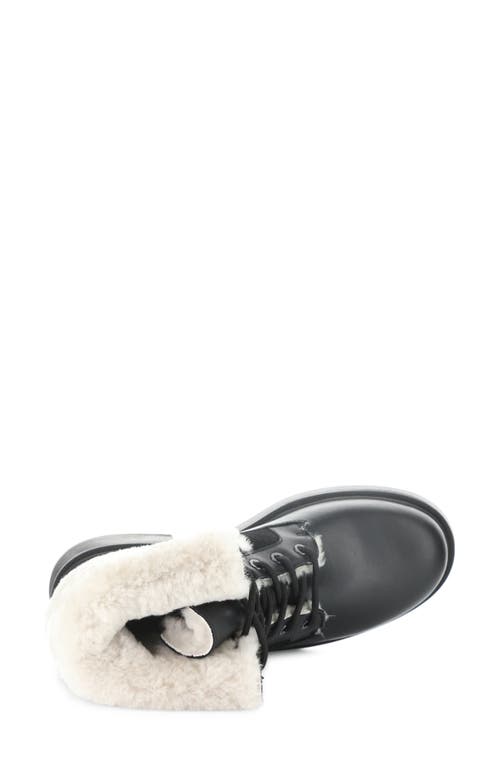 Bos. & Co. Nyssa Waterproof Genuine Shearling Boot In Black