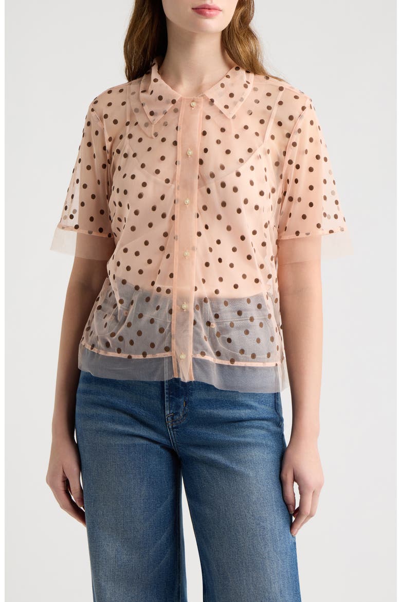 The Cotillion Polka Dot Mesh Top, Main, color, PINK DOT