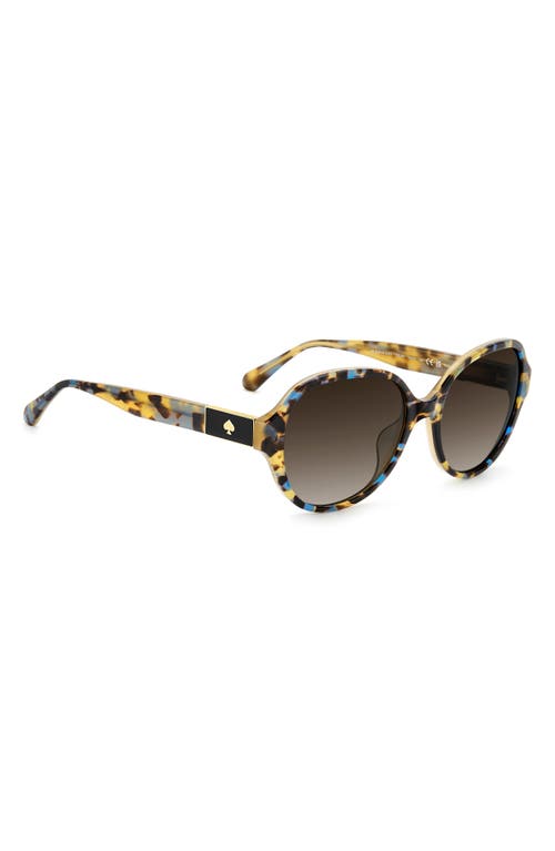 Kate Spade New York Emalie 56mm Gradient Oval Sunglasses In Havana Multicolor/brown Sf