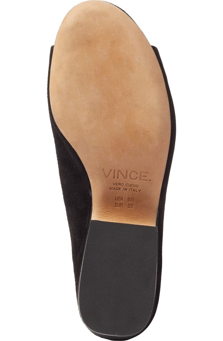 Vince Petra Mule, Alternate, color,