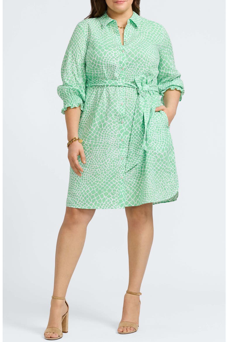 Abby Belted Linen Blend Shirtdress, Main, color, NEW LEAF/ WHITE