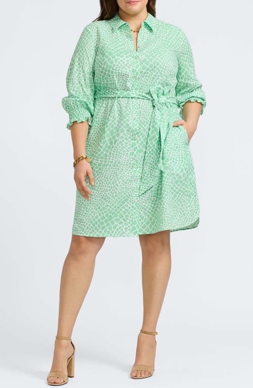 Foxcroft Abby Belted Linen Blend Shirtdress In New Leaf/white