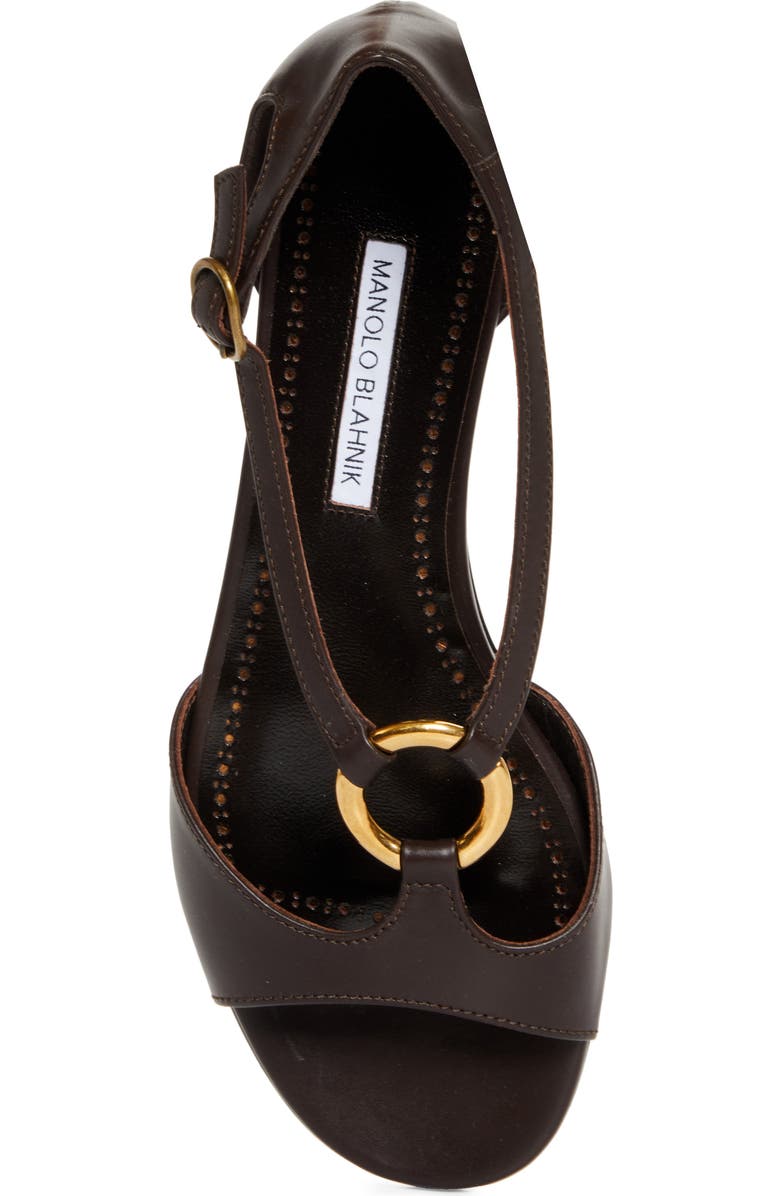 Manolo Blahnik Theodo Flat, Alternate, color, Dark Brown