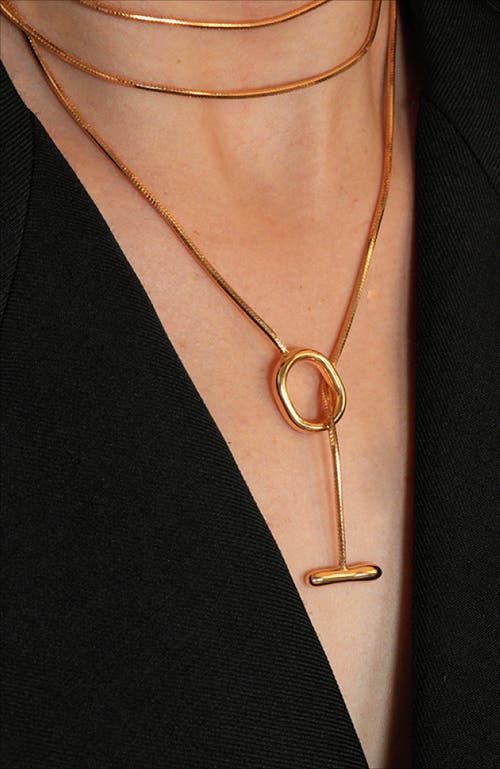 Rc Retro Chic Whispers Vine Necklace In Gold