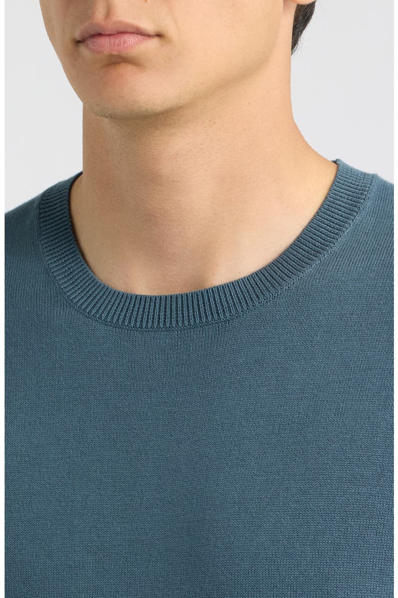 Lolo Organic Cotton Sweater Tee, Alternate, color, LAKE