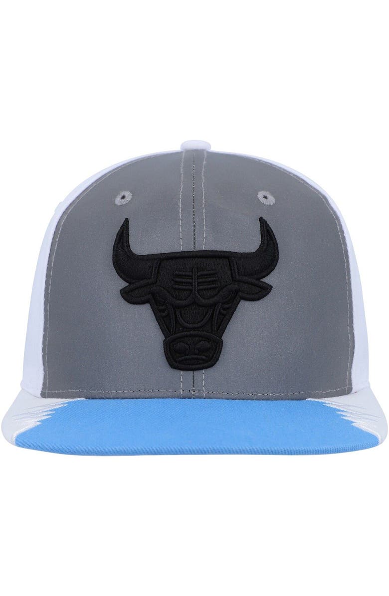 Mitchell & Ness Men's Mitchell & Ness Silver/Blue Chicago Bulls Day 5 Snapback Hat, Alternate, color, Silver