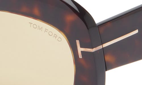 Tom Ford 53mm Square Sunglasses In Brown