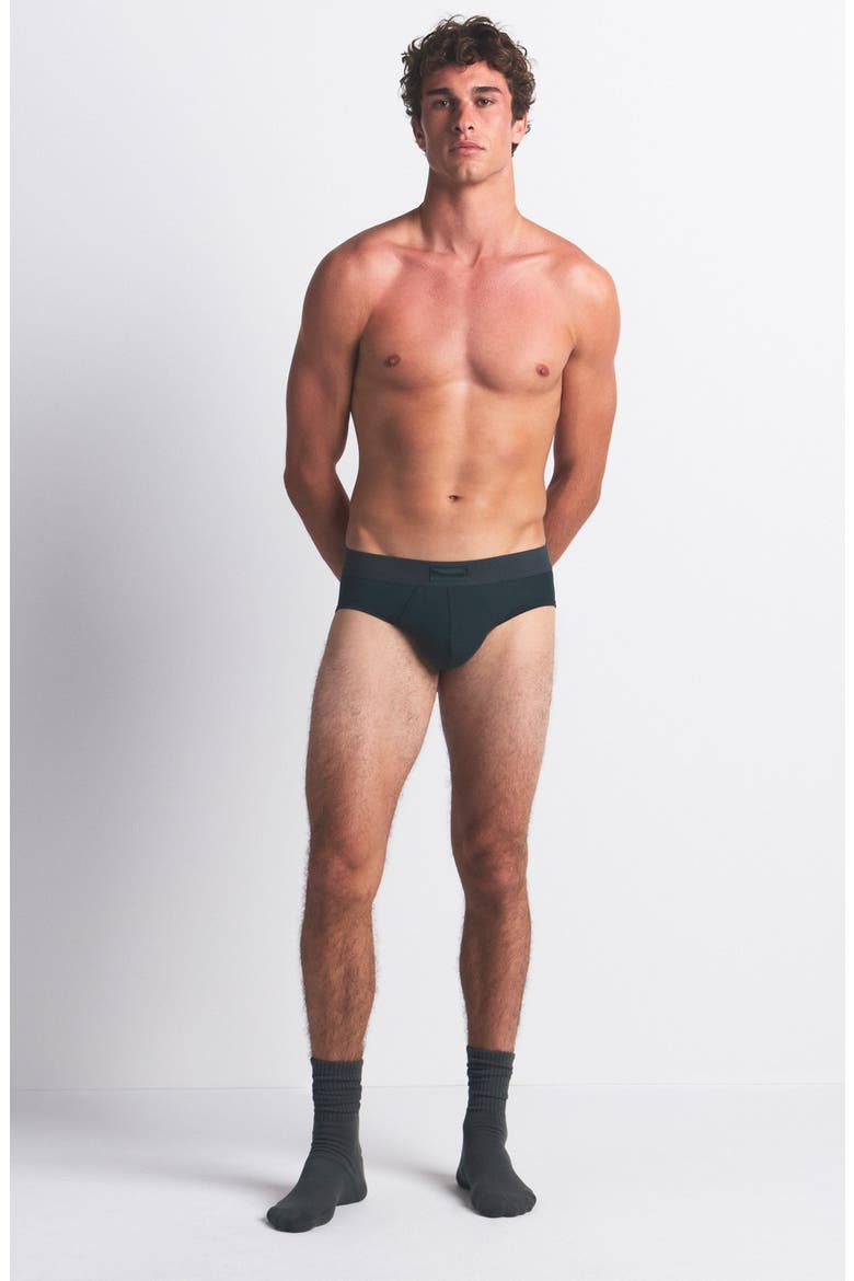 3-Pack Cotton & Modal Blend Briefs, Alternate, color, BLUE BLACK MULTI