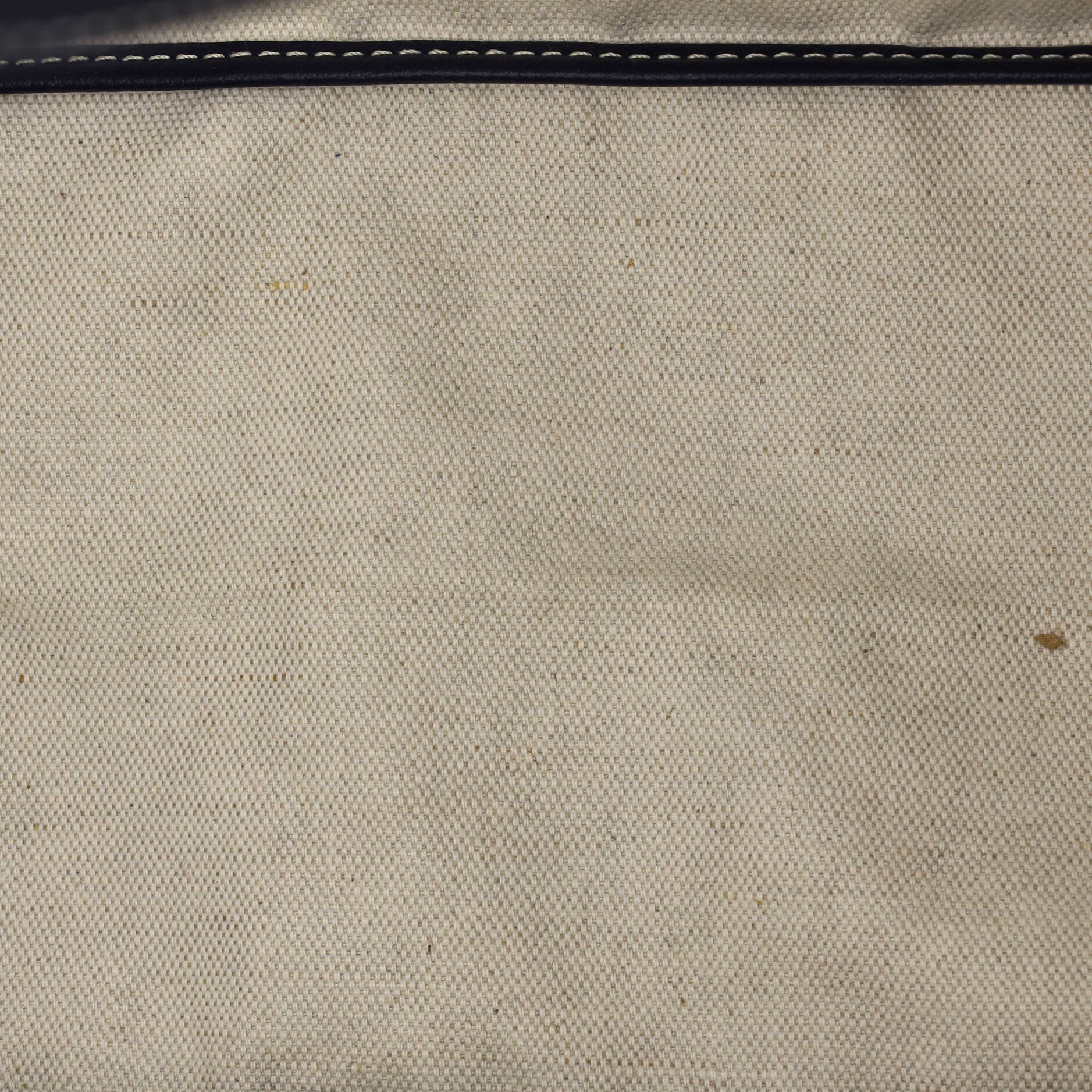 Pre-Owned Goyard Saint Louis Tote Coated Canvas PM, Alternate, color, Blue