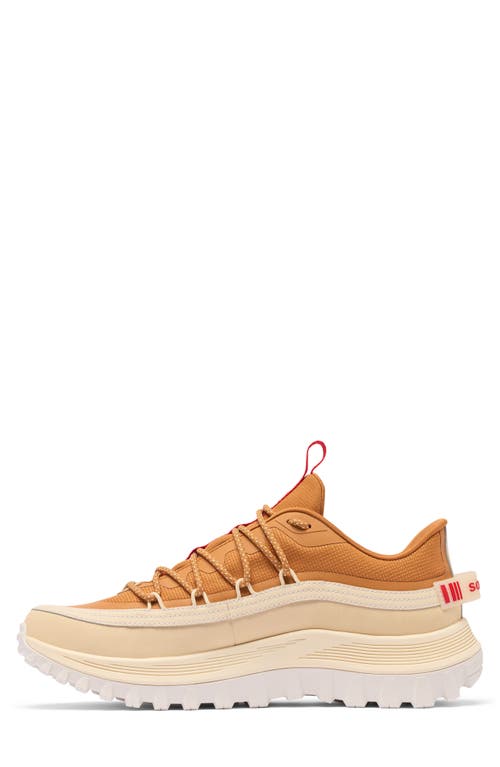 Sorel Callsign Horizon™ Low Gtx Gore-tex® Waterproof Sneaker In Brown