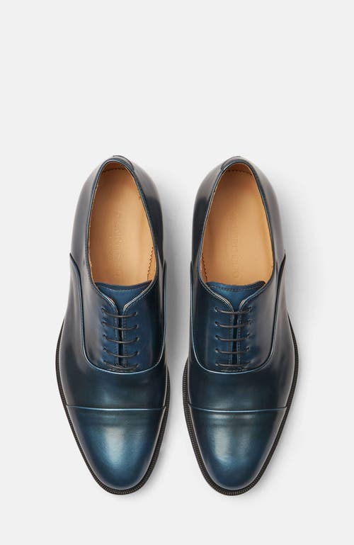 Scarosso Lorenzo Oxfords