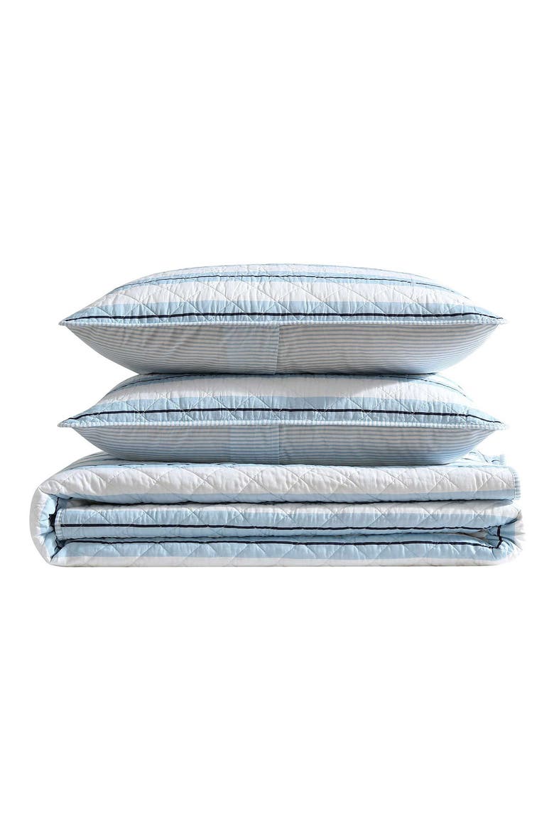 Tim Stripe Reversible Cotton Comforter & Sham Set, Main, color, BLUE MULTI