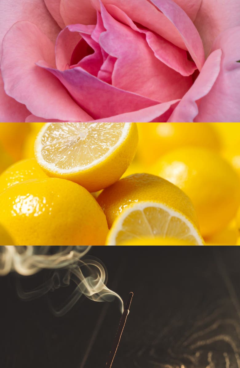 House of Bo Rosario Parfum, Alternate, color,