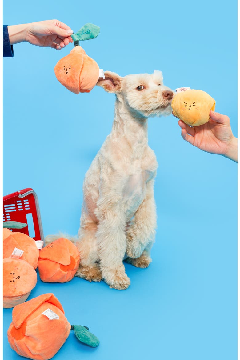 Orange Nosework Toy, Alternate, color, ORANGE
