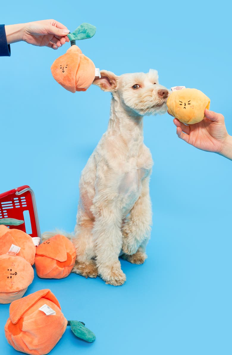 the furryfolks Orange Nosework Toy, Alternate, color, Orange