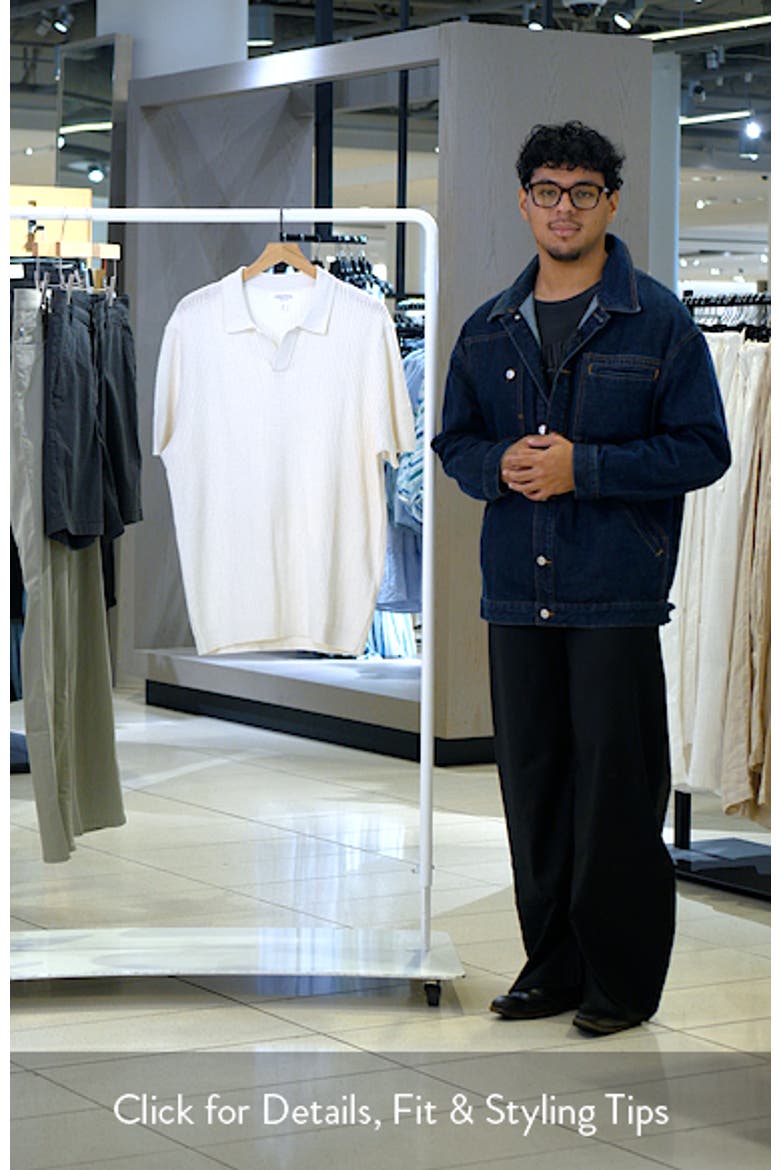 Textured Johnny Collar Cotton & Silk Polo Sweater video