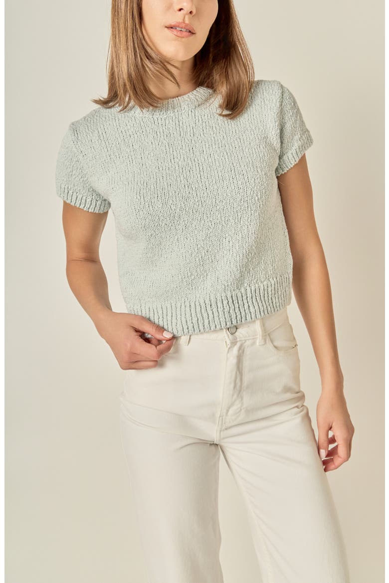 Rib Trim Short Sleeve Knit Top, Alternate, color, ICY BLUE