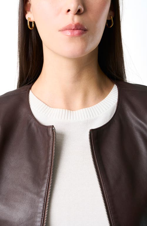 Velez Rider Leather Jacket For Women In Brown