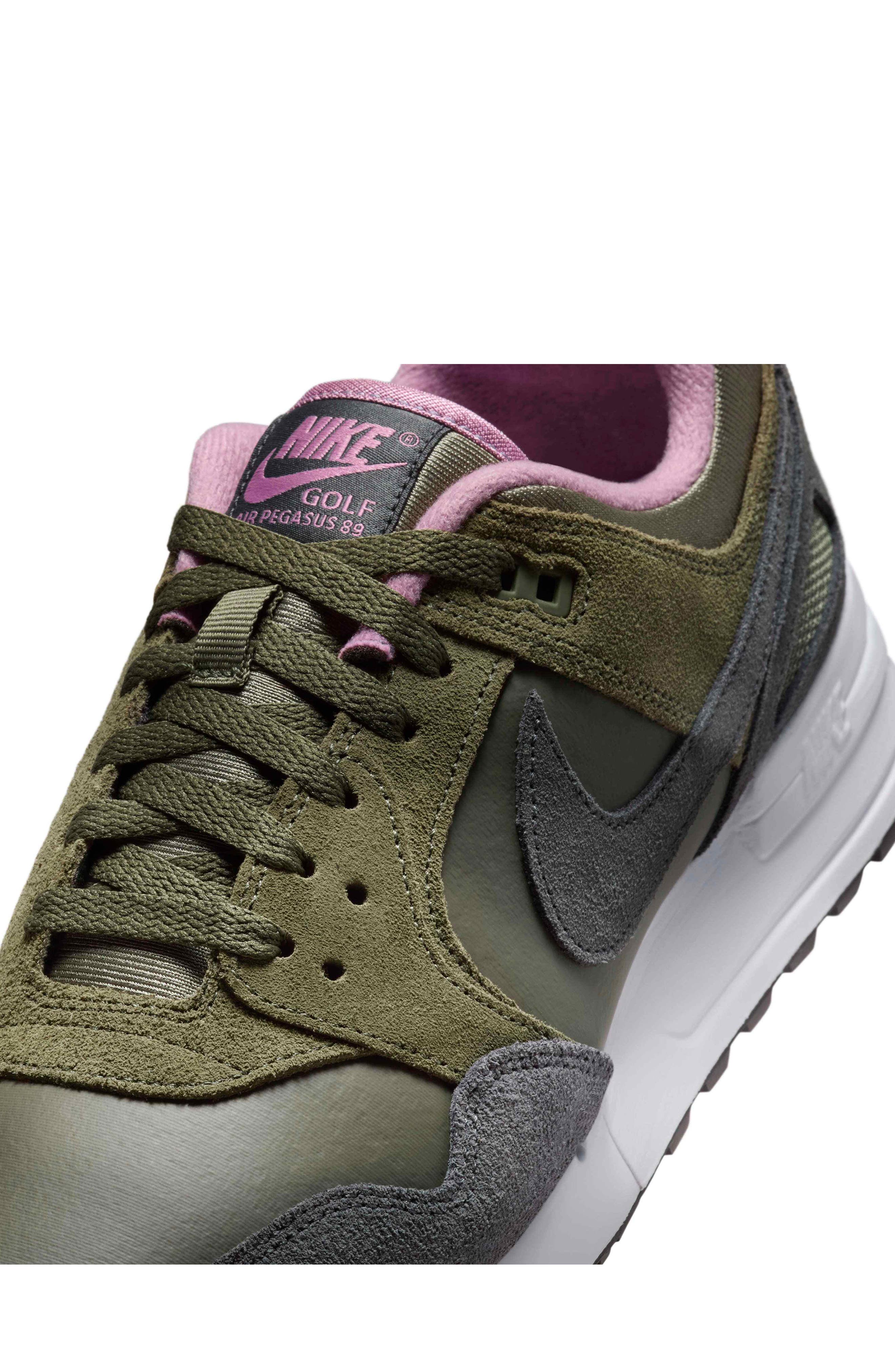 Air Pegasus  display picture 1
