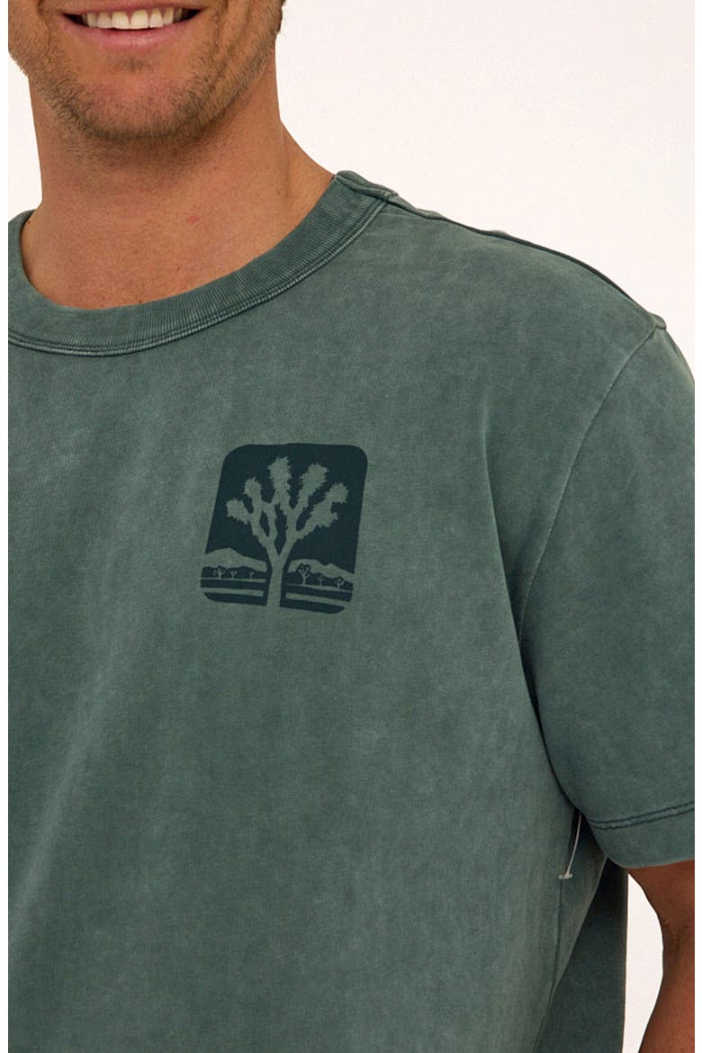 Desert Life Cotton Graphic T-Shirt, Alternate, color, PEACOCK