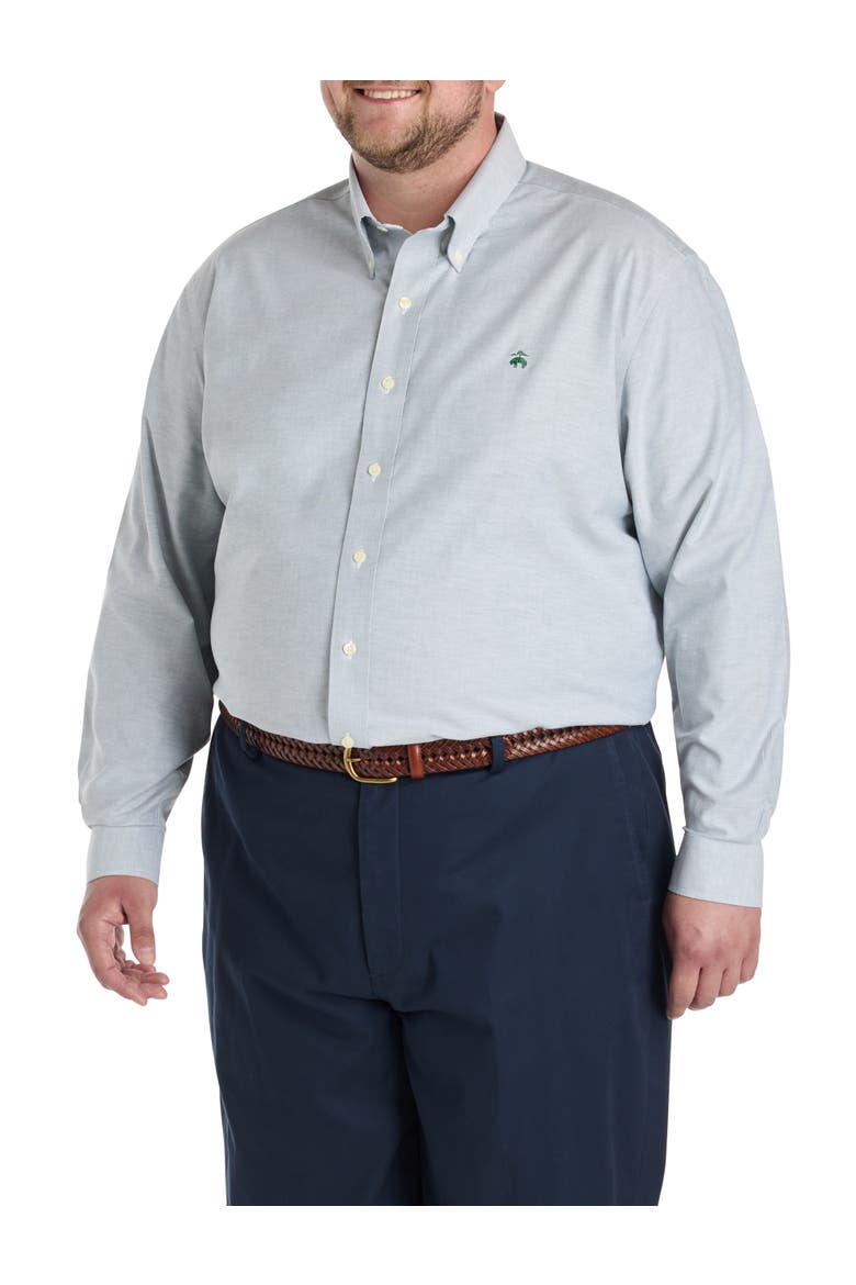 Big & Tall Non-Iron Solid Oxford Sport Shirt, Alternate, color, GREEN HERON SOLID