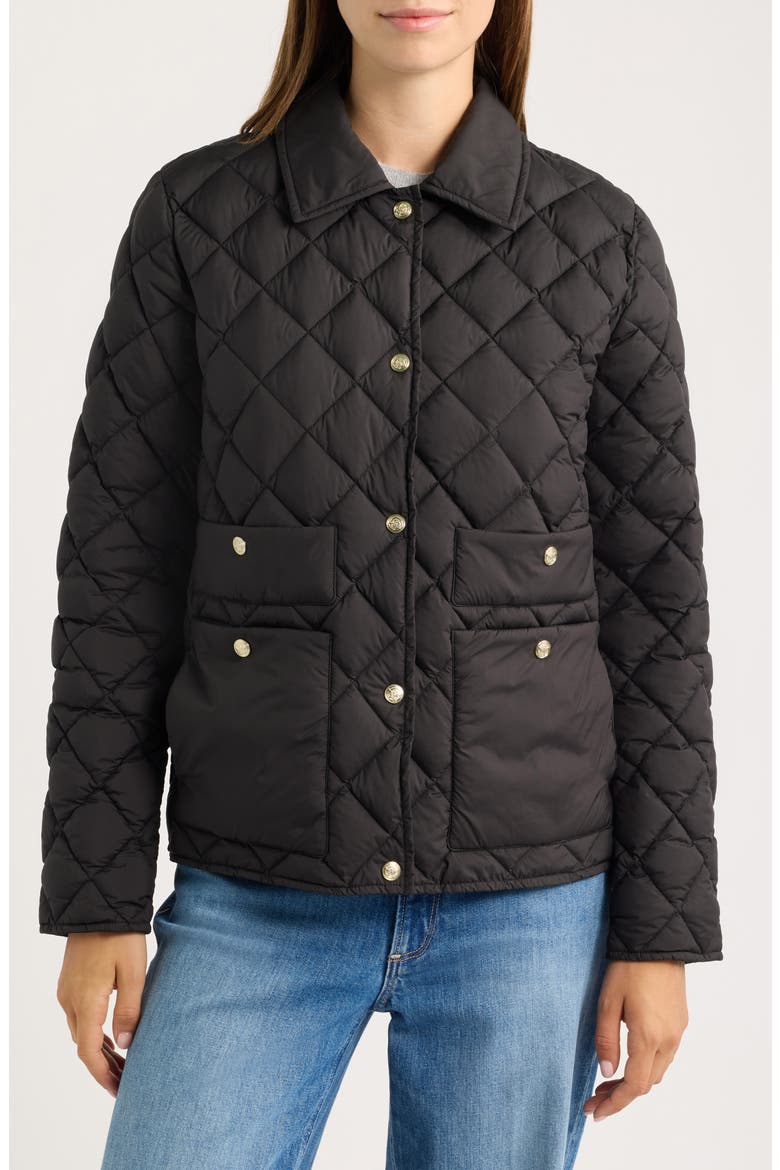 Quilted Liner Jacket, Alternate, color, BLACK