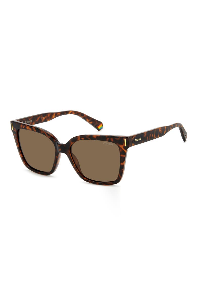 54mm Polarized Cat Eye Sunglasses, Alternate, color, HAVANA/ BRONZE POLAR
