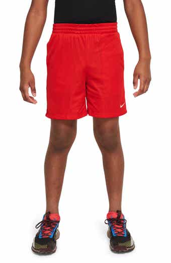 Kids' Mesh Dri-FIT Shorts