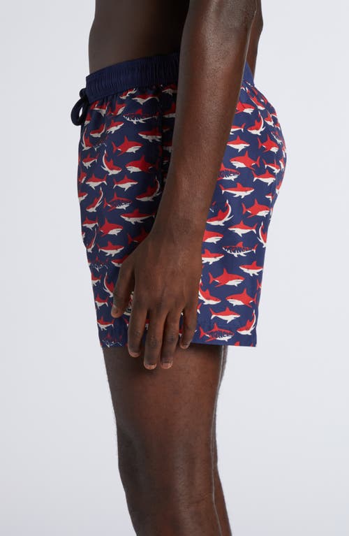 Moncler Short De Bain À Imprimé Requin In Navy Blue