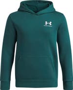 Under Armour Kids' Icon Cotton Blend Fleece Hoodie