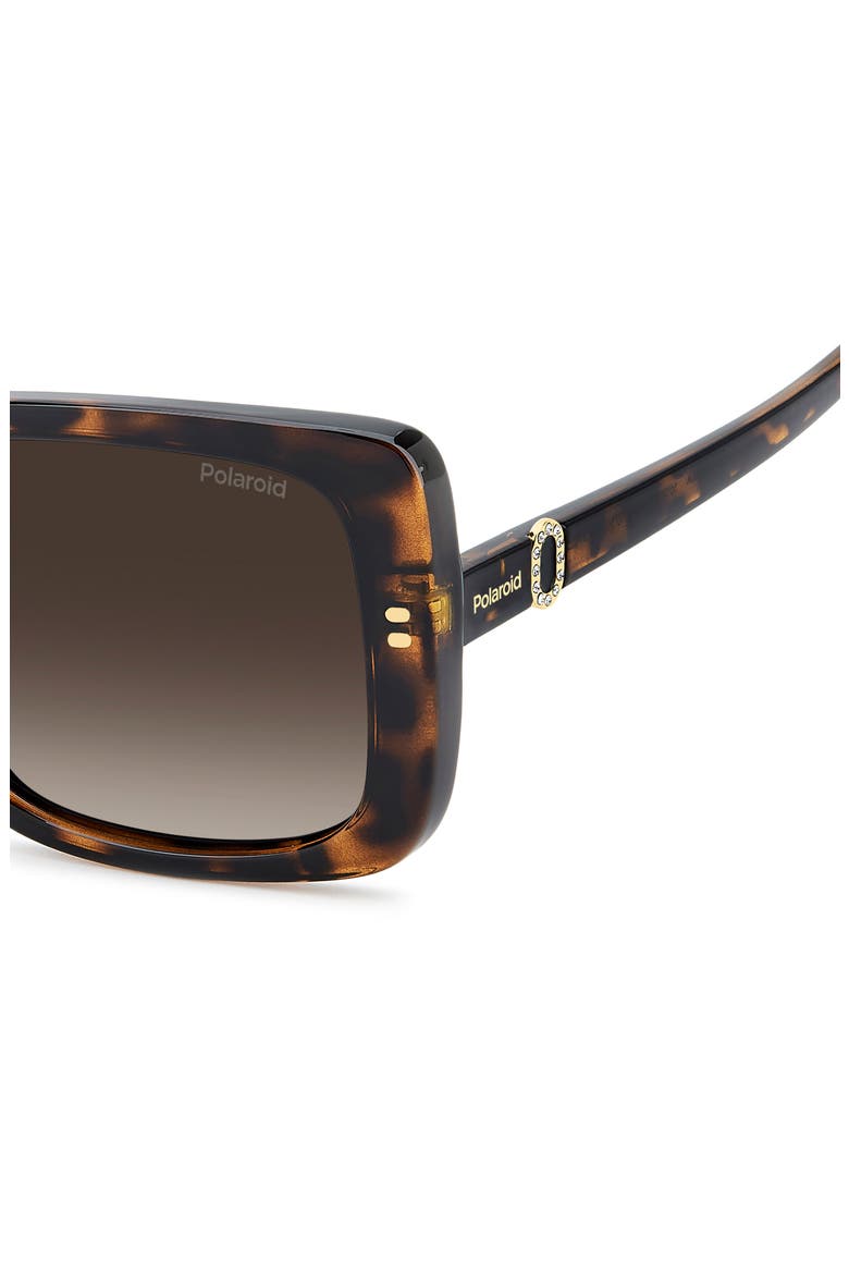 55mm Polarized Rectangular Sunglasses, Alternate, color, HAVANA/ BROWN