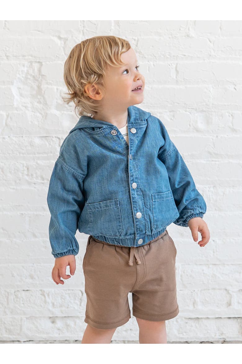Organic Jules Chambray Hooded Jacket, Alternate, color, Chambray