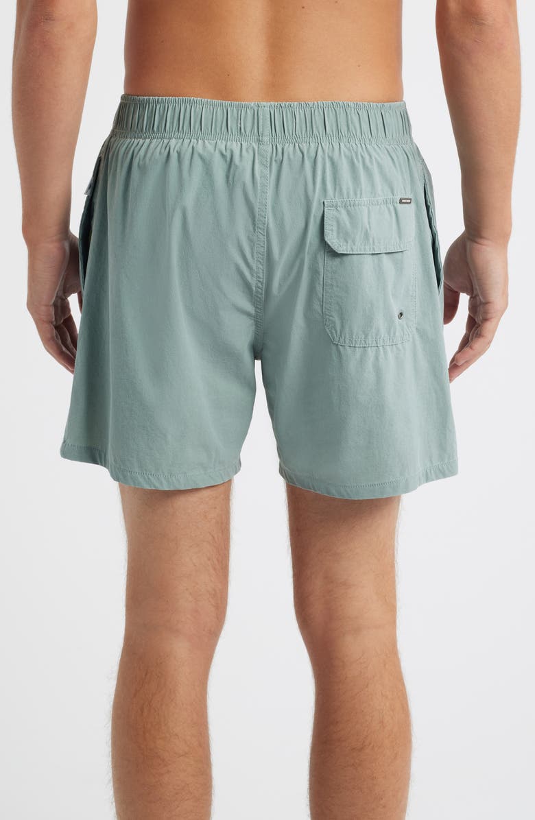Vintage Summer Volley Swim Trunks, Alternate, color, Sage
