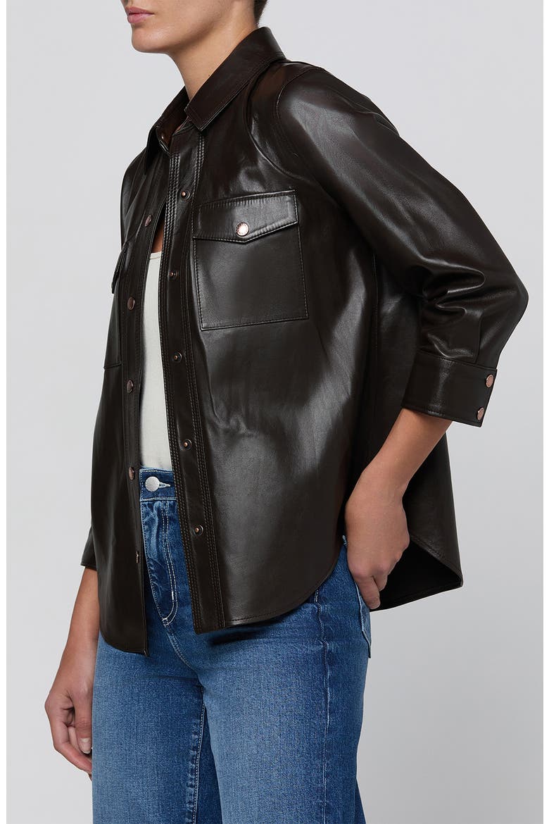 Avina Leather Shirt, Alternate, color, COFFEE BEAN