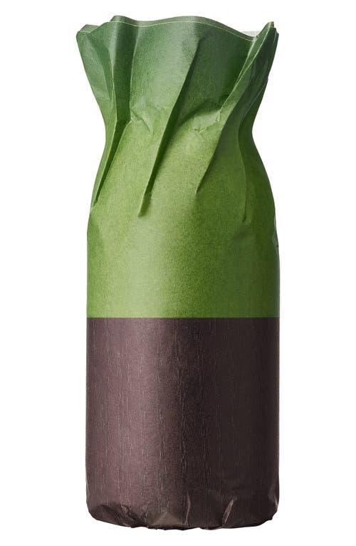 Dries Van Noten Cannabis Patchouli Eau De Parfum Refill