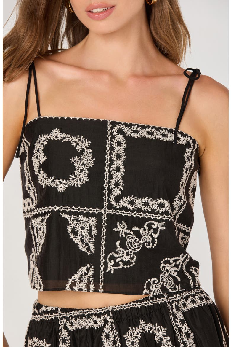 Tie Strap Mosaic Embroidery Crop Top, Main, color, BLACK EMBROIDERY