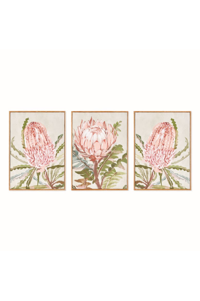 Queen Protea Giclees, Set of 3 - Pink Canvas Art, Main, color, Pink