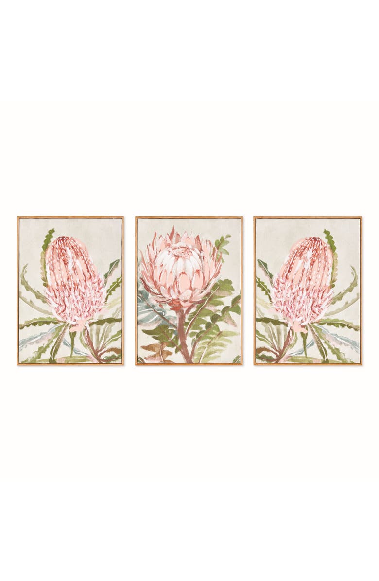 Napa Home & Garden Queen Protea Giclees, Set of 3 - Pink Canvas Art, Main, color, Pink