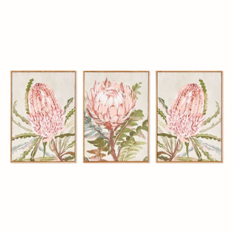 Queen Protea Giclees, Set of 3 - Pink Canvas Art