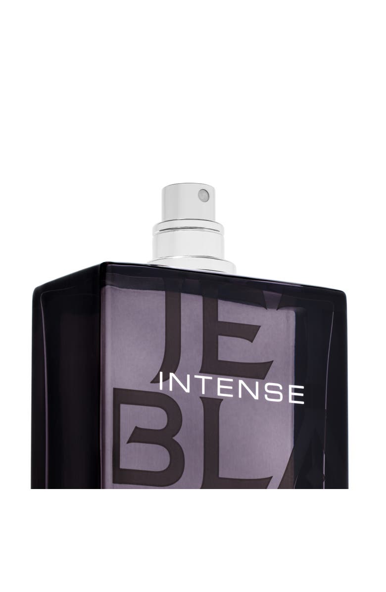 Michael Malul Jet Black Intense 3.4oz/100mL Men's EDP, Alternate, color, Black/Oxford