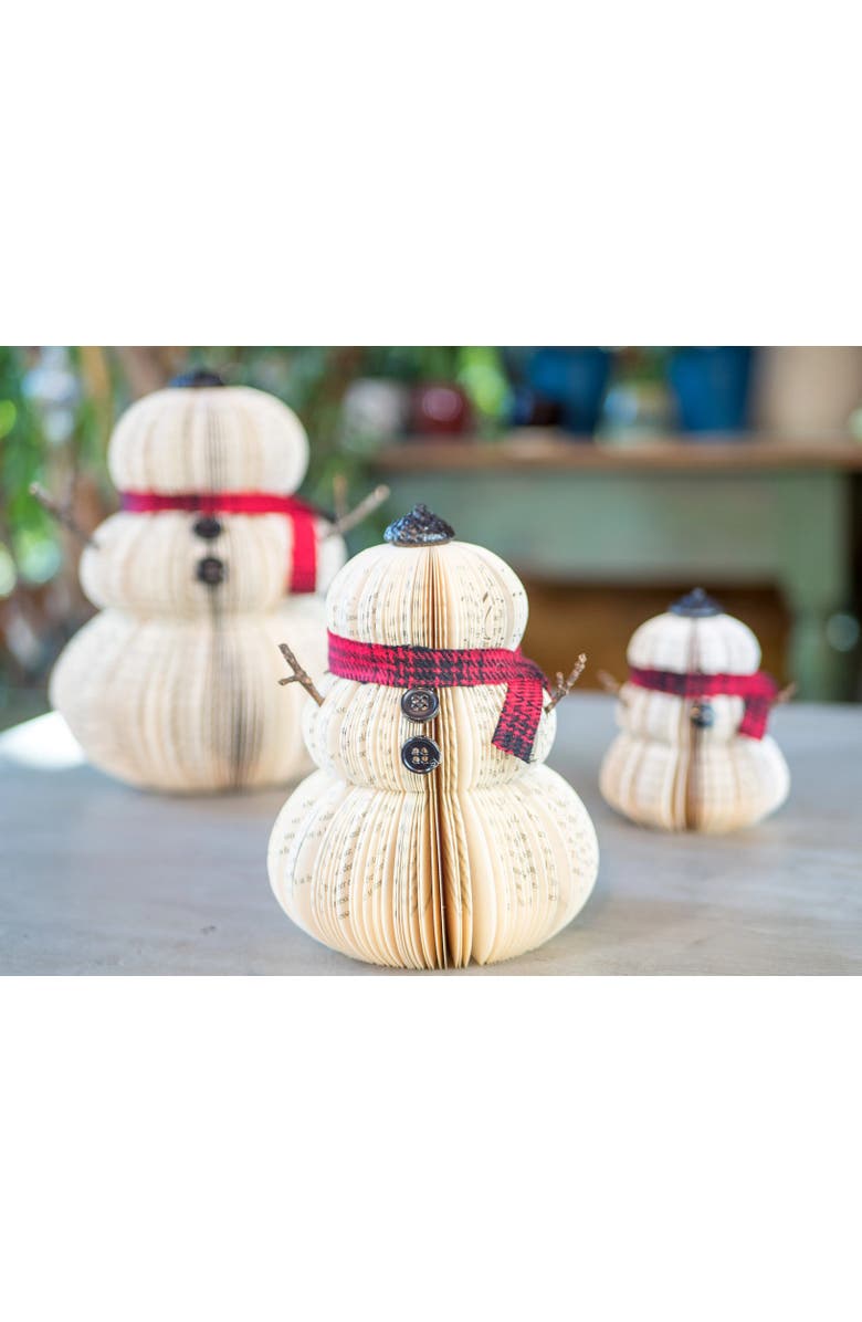 Root to Vine Book Snowman, Alternate, color, 