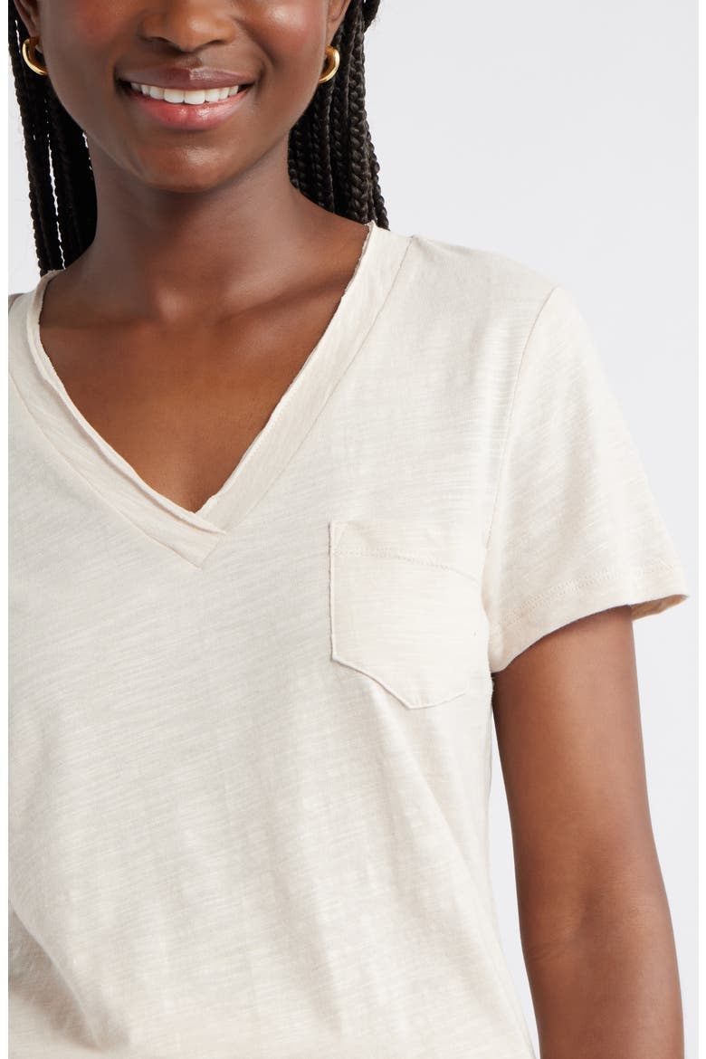 Cotton & Modal V-Neck T-Shirt, Alternate, color, BEIGE MORN