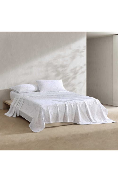 Calvin Klein Home Airy Botanical Cotton Sateen Queen Sheet Set In Open Light-pastel Blue