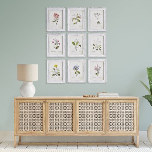 Napa Home & Garden Garden Meadow Study Set Of 9 In Multi