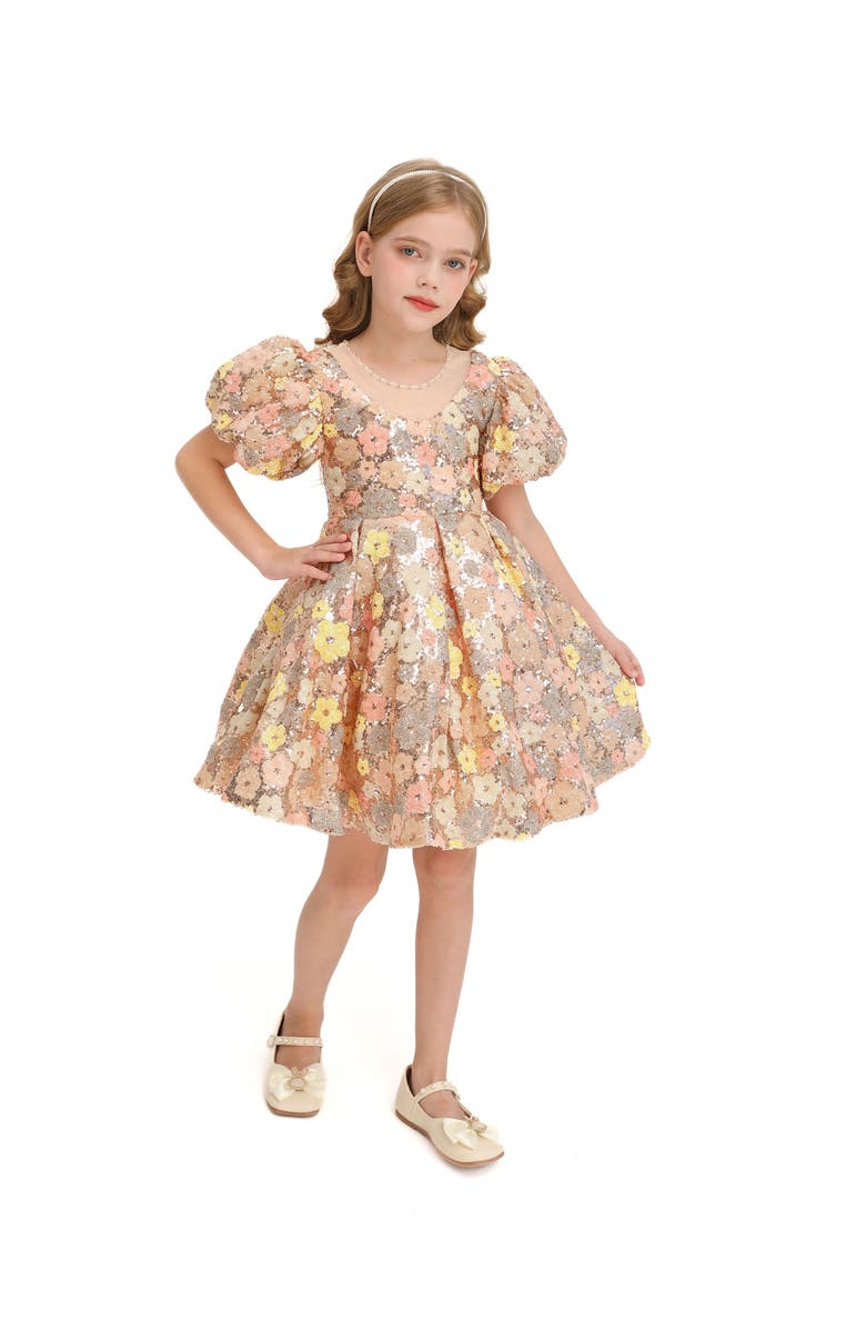 Tulleen Lamore Dress, Main, color, Champagne