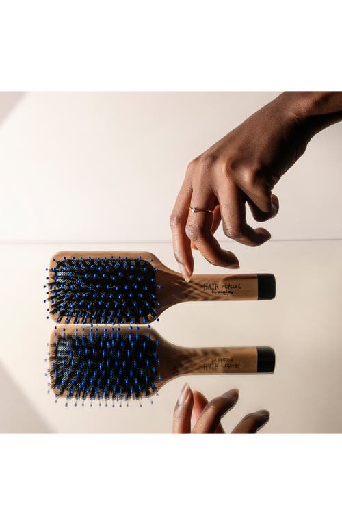 Sisley Paris Hair Rituel Pocket Brush In No Color
