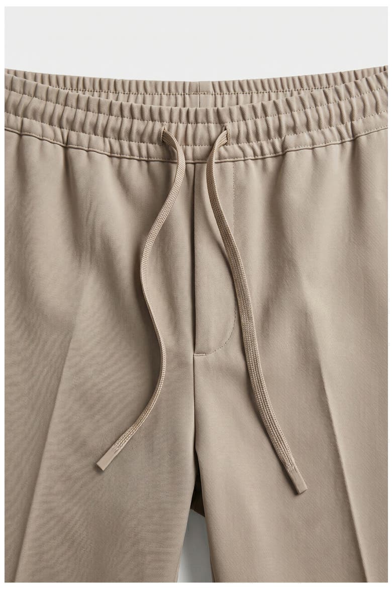 Benji Elastic Waist Pants, Alternate, color, BONE