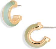 NORDSTROM RACK Frosted Resin Huggie Hoop Earrings