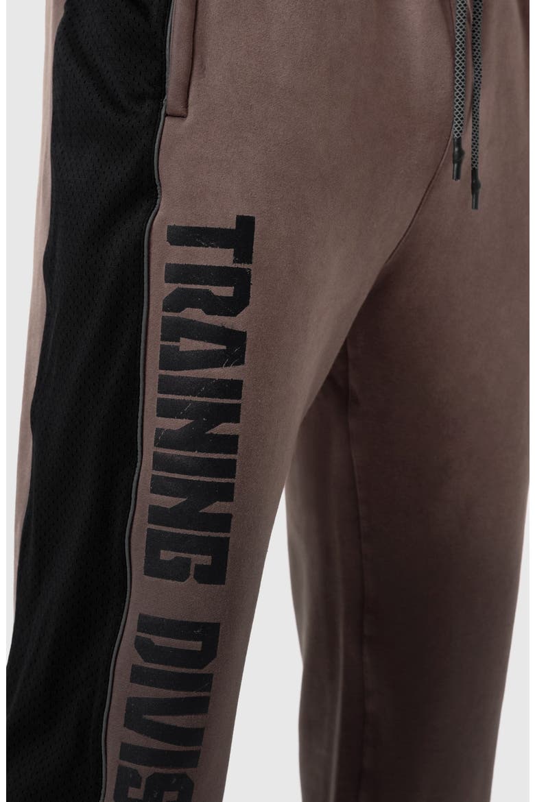 Tech Terry Mesh Panel Sweatpants, Alternate, color, Dark Earth